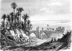 Bridge of Elche, vintage engraving. photo