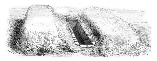 Manure pit, vintage engraving. photo