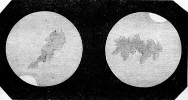 Mars as seen from the earth, vintage engraving. photo
