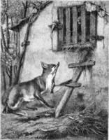 Painting Exhibition of 1857, The Fox and the Grape, vintage engraving. photo