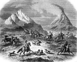 The Hunting at the Guanacos, in the vicinity of the volcano Antuco, vintage engraving. photo