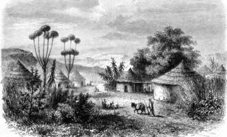 Central Africa, View of the village of Muglebu, in the country of Mousgou, vintage engraving. photo