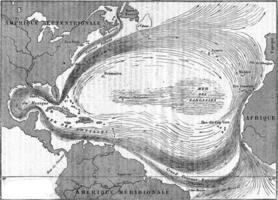 Map of the Gulf Stream, vintage engraving. photo