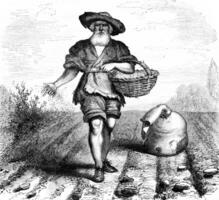 Farmer scattering seeds on a field. Engraving by J.M. Metelli. Drawing by Hernault. photo