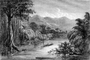 The river of Polochie, department of Verapaz, Republic of Guatemala, Central America, vintage engraving. photo
