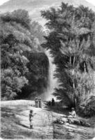 Cascade Botanical Garden of Saint-Pierre, Martinique, vintage engraving. photo