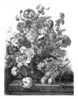 Gallery M Rothan, Flowers and Fruit by Van Dael, vintage engraving. photo