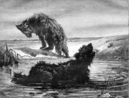 Sheepdogs in the Camargue, painting Vayson, vintage engraving. photo