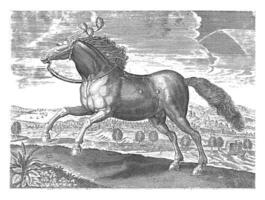 Arabian horse, vintage illustration. photo