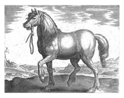 caballo desde gulik juliaco, Clásico ilustración. foto