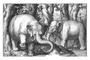 Two Elephants, Nicolaes de Bruyn, 1594 photo