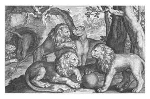 Lions, Nicolaes de Bruyn, 1594 photo