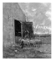 Shepherd with a flock of sheep at a barn, Willem Steelink photo