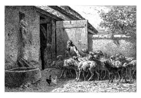 Woman Leading Sheep to the Stable, Charles Emile Jacque, 1865 photo