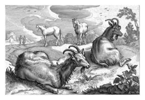 Landscape with two goats and two horses photo