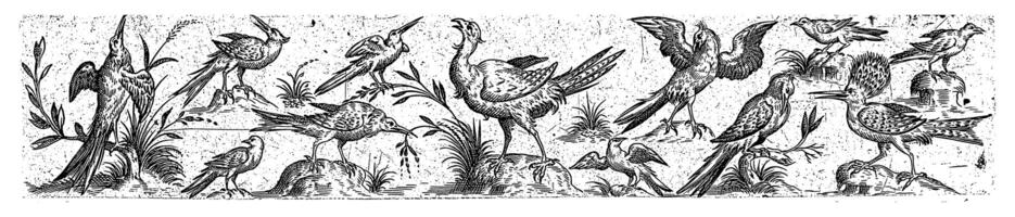 Frisian with twelve birds, bottom right is a hoopoe photo
