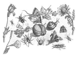 insectos, flores y un caracol alrededor un nuez foto