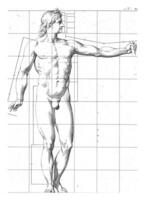 Proportion study of a man's body photo