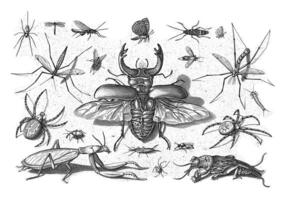 insectos, jacob hoefnagel, después joris hoefnagel, 1630 foto
