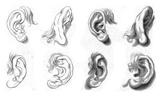 Study of different ears photo