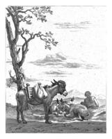 Shepherd at rest with three donkeys photo