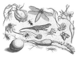 Animals, plants and fruits around a lizard photo