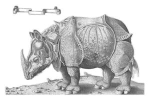 Rhinoceros, Enea Vico, after Albrecht Durer, 1542 photo