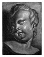 Bust of a putto, Petrus Camper, 1742 photo