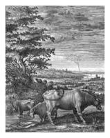 Cows in a Landscape, Hendrick Hondius I, 1644 photo