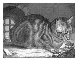 The Large Cat, anonymous, after Cornelis Visscher photo