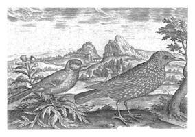 dos aves en un paisaje foto