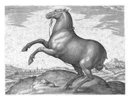 Horse from Scythia photo