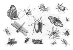 insectos, jacob hoefnagel, después joris hoefnagel, 1630 foto