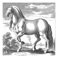 paisaje con caballo, torneado izquierda foto