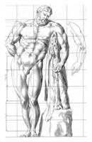 Proportion study of the body of Hercules Farnese photo