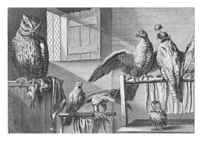 Falcons and Owls in a Barn, Pieter van Lisebetten, after Wenceslaus Hollar photo