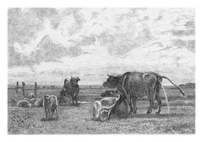 Landscape with cows and sheep, Johann Heinrich Maria Hubert Rennefeld, after Constant Troyon, 1842 - 1877 photo