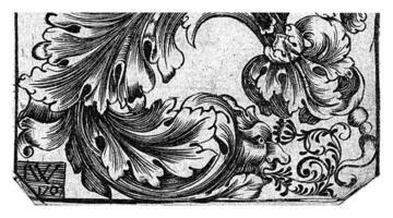 hoja ornamento, Isaac cuervo, 1707 foto