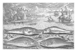 Four fish on the beach, Adriaen Collaert, 1627 - 1636 photo