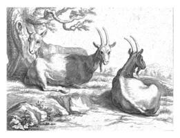 Goats, Frederick Bloemaert, after Abraham Bloemaert, 1740 photo