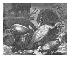 Chickens and Turkeys, Boetius Adamsz. Bolswert, after Abraham Bloemaert, 1611 - 1661 photo