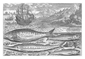 Four fish on the beach, Adriaen Collaert, 1627 - 1636 photo