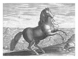 caballo desde Nápoles, felipe Galle atribuido a taller de, después ene camioneta der calle, C. 1578 - C. 1582 foto
