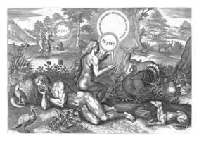 Creation of Eve, Johann Sadeler I, after Crispijn van de Passe I, 1639 photo