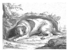 Spaniel, Frederick Bloemaert, after Abraham Bloemaert, 1740 photo