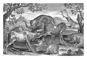 luchando animales, adrien collar, 1595 - 1599 foto