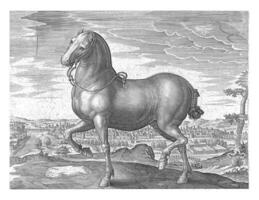 Horse from England, Hans Collaert I attributed to, after Jan van der Straet, c. 1578 - c. 1582 photo