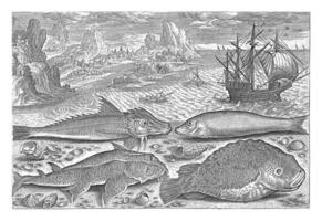 Four fish on the beach, Adriaen Collaert, 1627 - 1636 photo