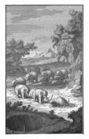 Landscape with Khoi Hunting Elephants, Jan Caspar Philips, 1727 photo