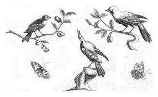 dos aves en un rama, un pájaro en un tocón y dos mariposas, pieter schenk yo posiblemente, después pieter schenk i, 1675 - 1711 foto